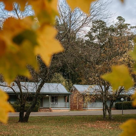 Villa Federation Gardens & Possums Hideaway Blackheath Esterno foto