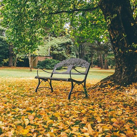 Villa Federation Gardens & Possums Hideaway Blackheath Esterno foto