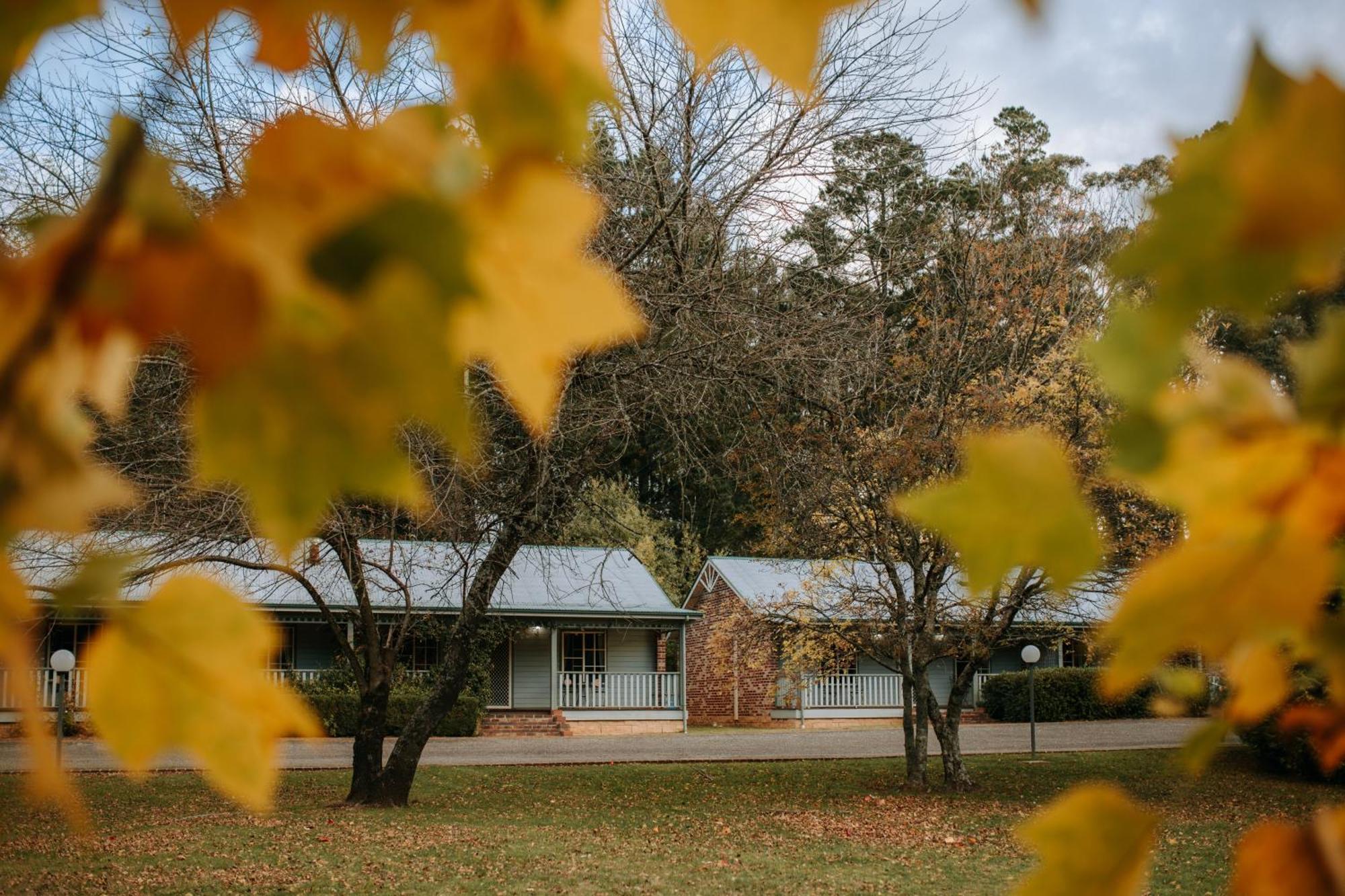 Villa Federation Gardens & Possums Hideaway Blackheath Esterno foto