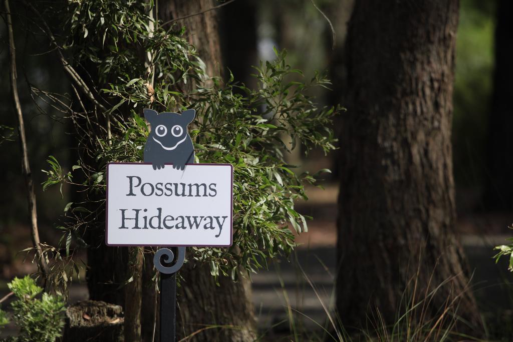 Villa Federation Gardens & Possums Hideaway Blackheath Esterno foto