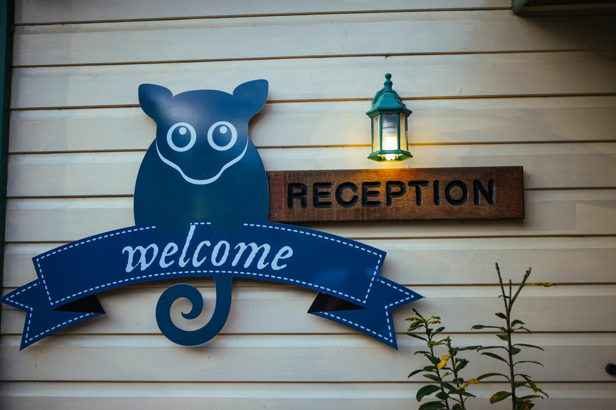 Villa Federation Gardens & Possums Hideaway Blackheath Esterno foto